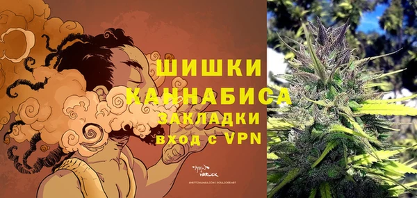 PSILOCYBIN Алексин