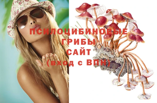 метамфетамин Алексеевка