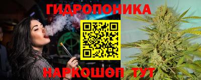 молекула духа Холмск