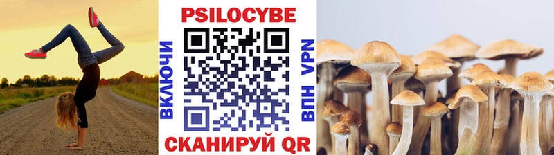 Псилоцибиновые грибы Magic Shrooms  продажа наркотиков  Богородицк 
