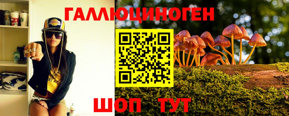 купить наркоту  Вход с VPN  Богородицк  Псилоцибиновые грибы MAGIC MUSHROOMS 